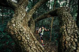 BIB: 
                            <button type="button" onclick="openModal(25393056)" class="btn btn-primary btn-sm float-right btn-popup" data-toggle="modal" data-target=".modal-high-quality">
                        <i class="fas fa-shopping-cart"></i> Add to Cart
                    </button>
                                            <button type="button" onclick="isThisMe(25393056, true)" class="btn btn-success btn-sm float-right btn-popup btn-isme hidden" data-toggle="tooltip" data-placement="bottom" title="นี่คือรูปของคุณใช่ไหม คลิกที่นี่เพื่อเอาเข้าอัลบั้ม">
                        <i class="fas fa-plus"></i> Add to album
                    </button>
                    <button type="button" onclick="isThisMe(25393056, false)" class="btn btn-warning btn-sm float-right btn-popup btn-isnotme hidden">
                        <i class="fas fa-ban"></i> Remove from album
                    </button>